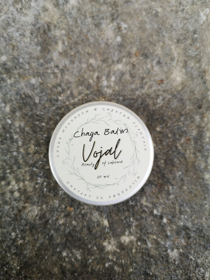 Chaga Balm