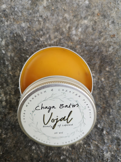 Chaga Balm