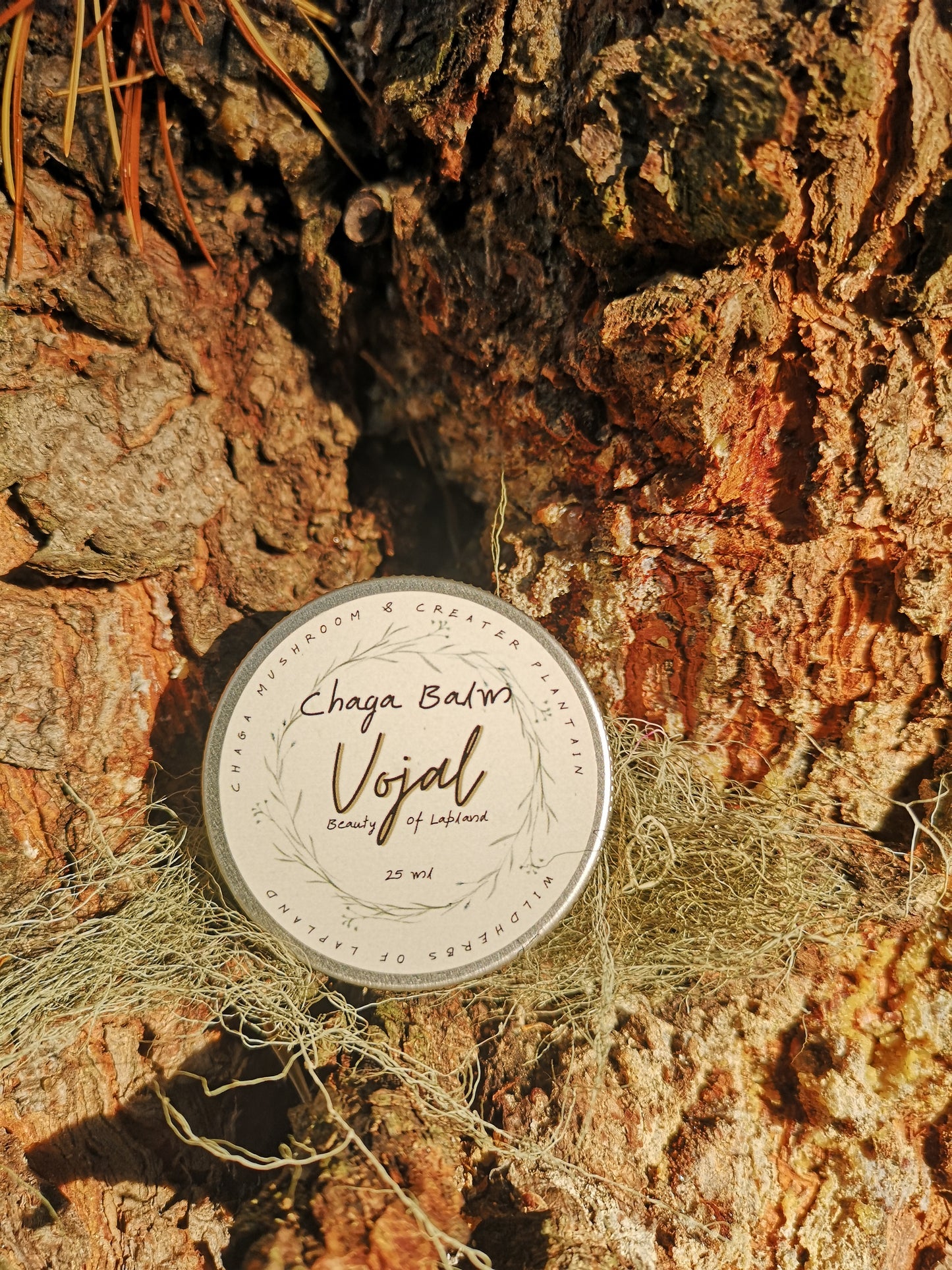 Chaga Balm